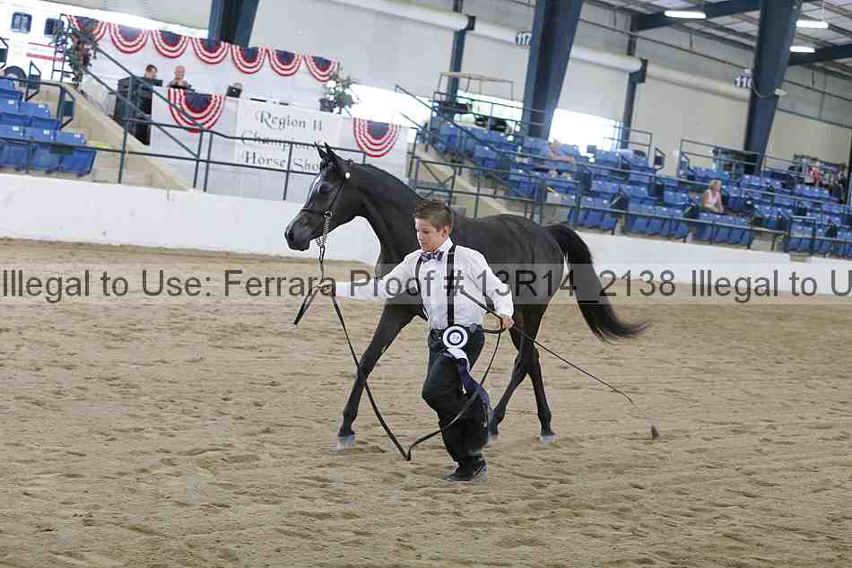 Proof 13r14_2138