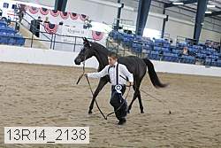 13r14_2138 proof