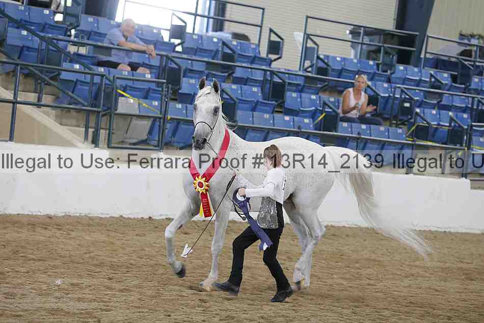 Proof 13r14_2139