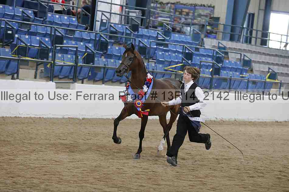 Proof 13r14_2142