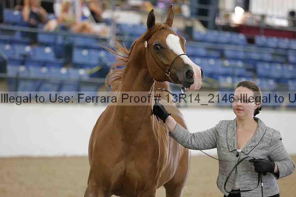 Proof 13r14_2146