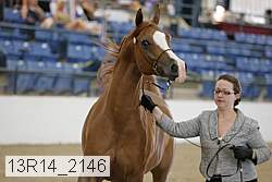 13r14_2146 proof