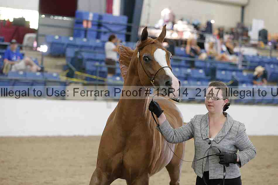 Proof 13r14_2147