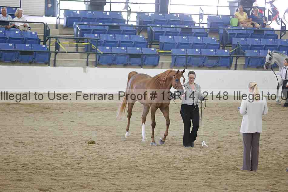 Proof 13r14_2148