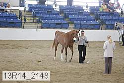 13r14_2148 proof