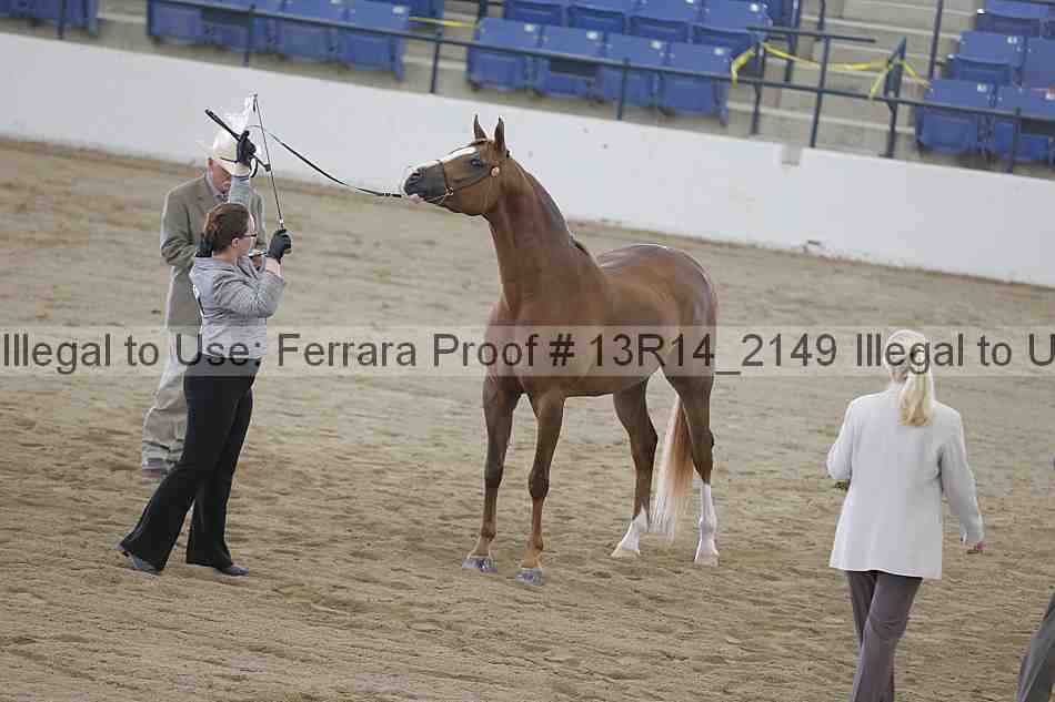 Proof 13r14_2149