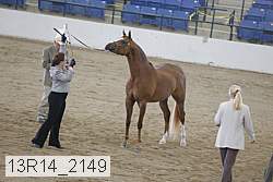 13r14_2149 proof