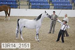 13r14_2151 proof