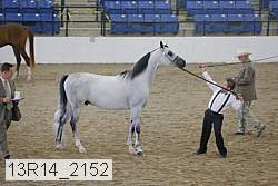 13r14_2152 proof