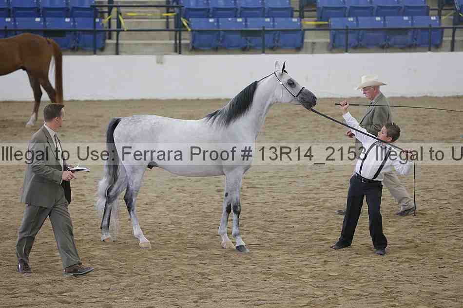 Proof 13r14_2153