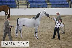 13r14_2153 proof