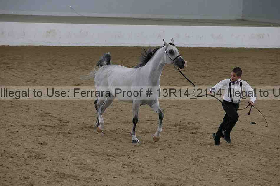 Proof 13r14_2154
