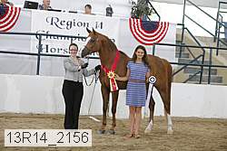 13r14_2156 proof