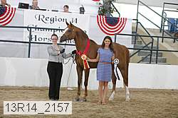 13r14_2157 proof
