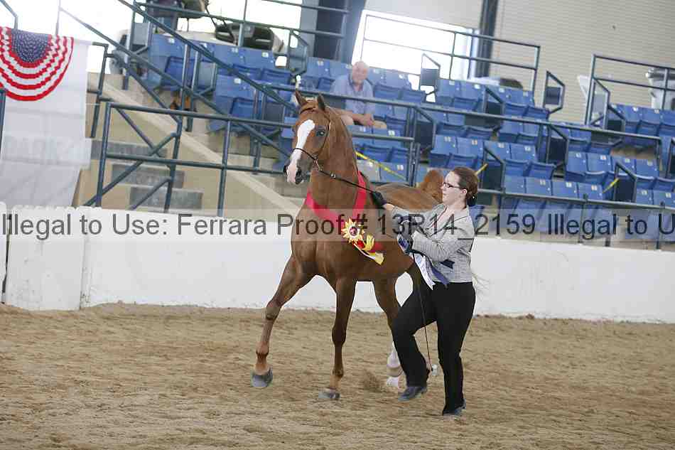 Proof 13r14_2159