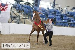 13r14_2159 proof