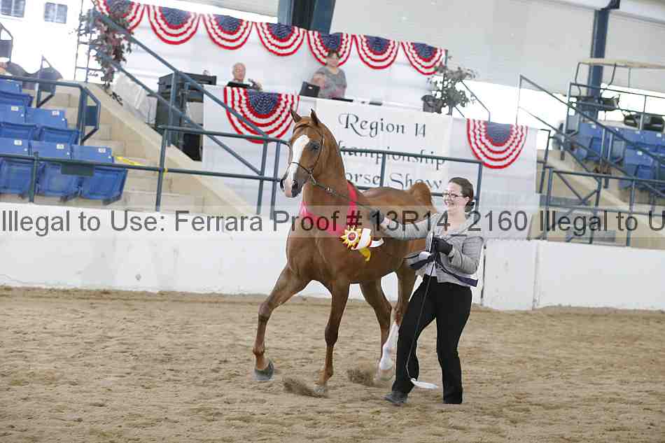 Proof 13r14_2160