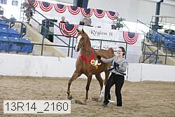 13r14_2160 proof