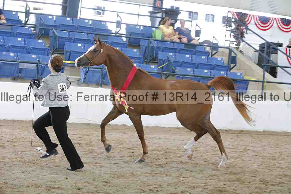 Proof 13r14_2161