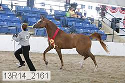 13r14_2161 proof