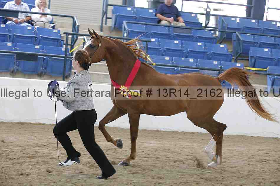 Proof 13r14_2162