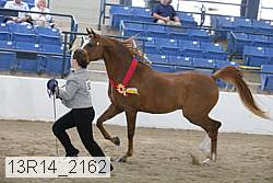 13r14_2162 proof