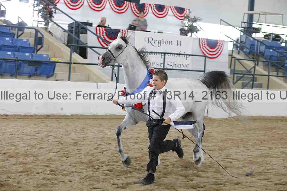 Proof 13r14_2163