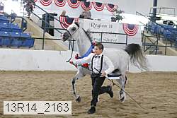 13r14_2163 proof