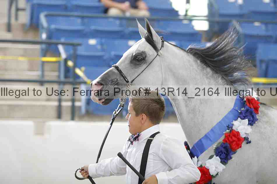 Proof 13r14_2164