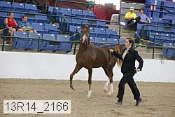 13r14_2166 proof