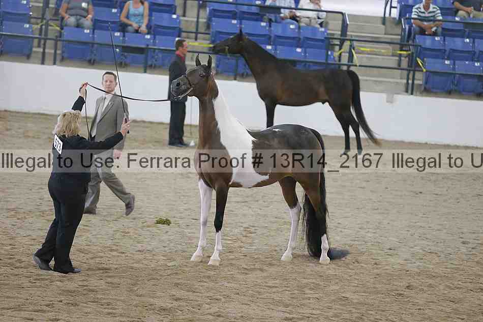 Proof 13r14_2167