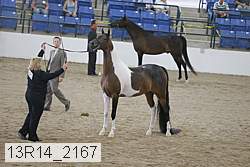 13r14_2167 proof