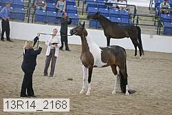 13r14_2168 proof