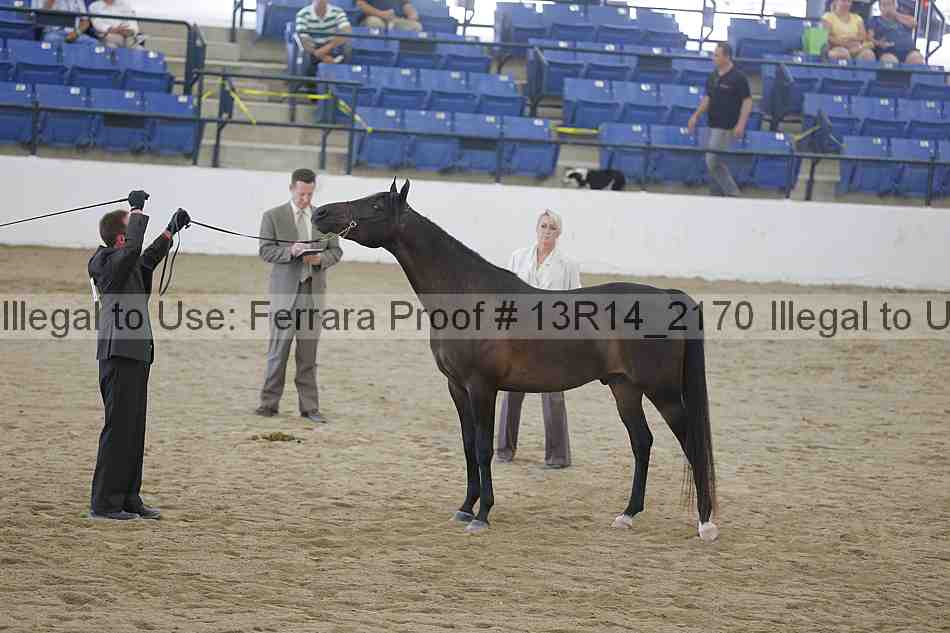 Proof 13r14_2170