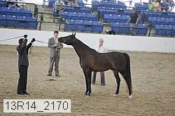 13r14_2170 proof