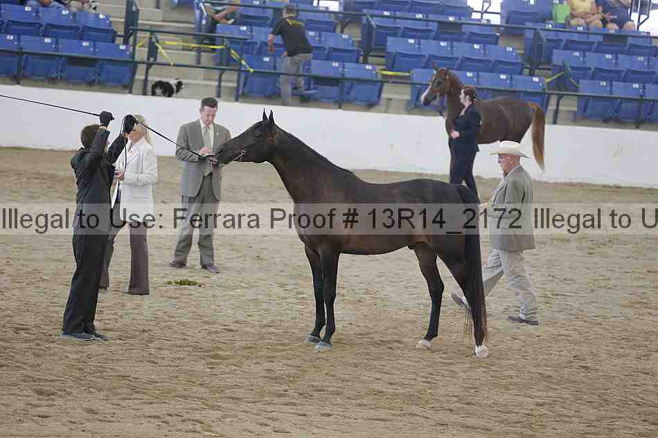 Proof 13r14_2172