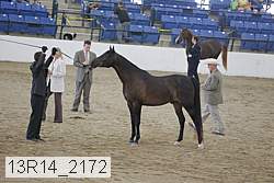 13r14_2172 proof