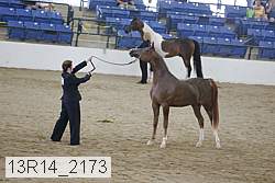 13r14_2173 proof