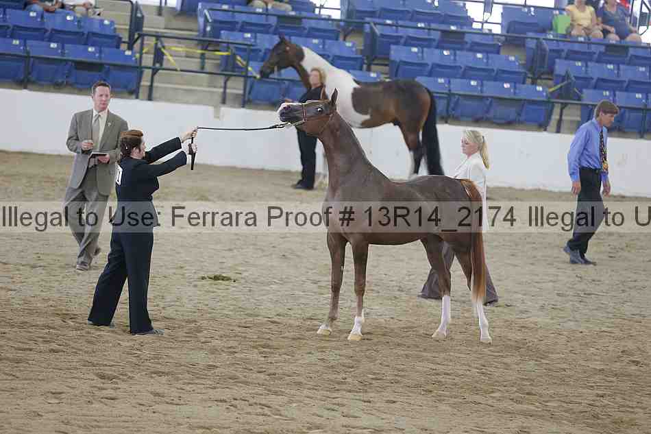 Proof 13r14_2174