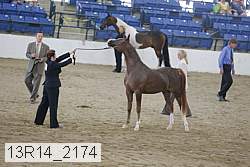 13r14_2174 proof