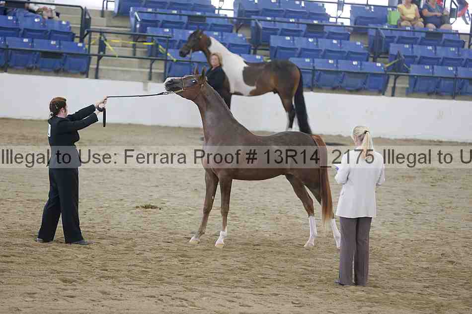 Proof 13r14_2175
