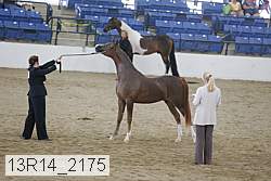 13r14_2175 proof