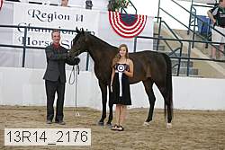 13r14_2176 proof