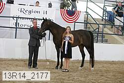 13r14_2177 proof