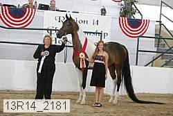 13r14_2181 proof