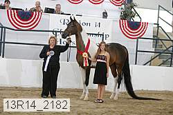 13r14_2182 proof