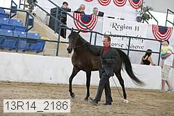 13r14_2186 proof