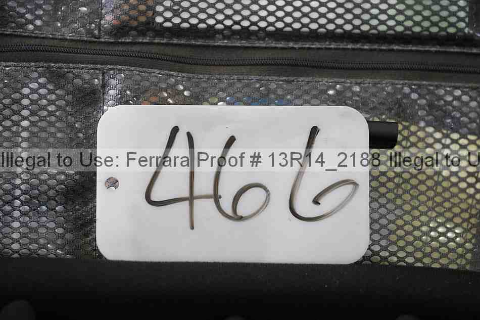 Proof 13r14_2188