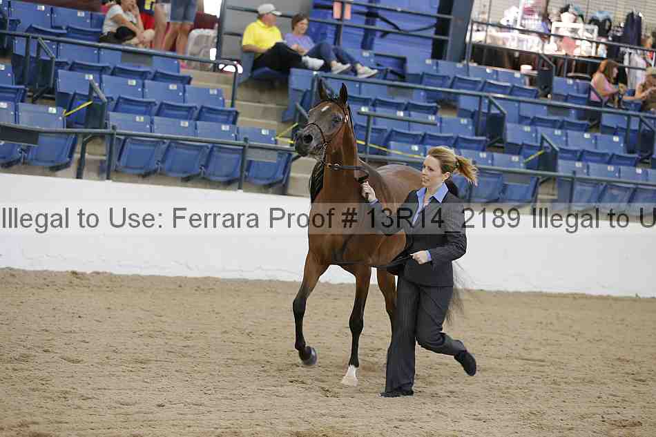 Proof 13r14_2189