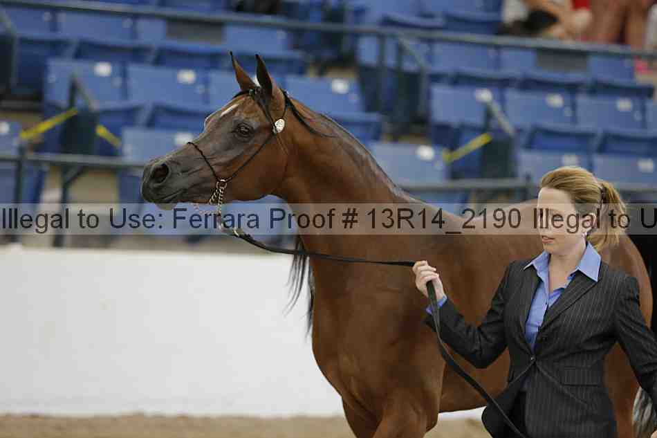 Proof 13r14_2190